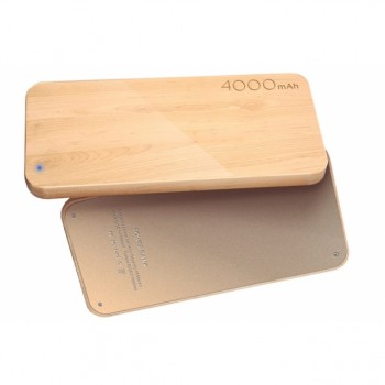 Powerbank ECO